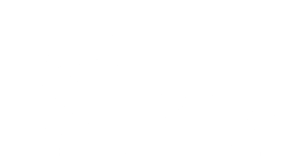 Salon Snack Co
